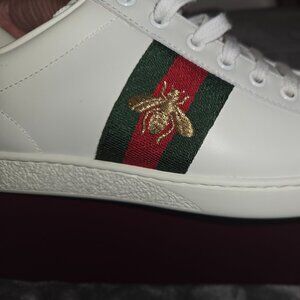 Gucci sneakers